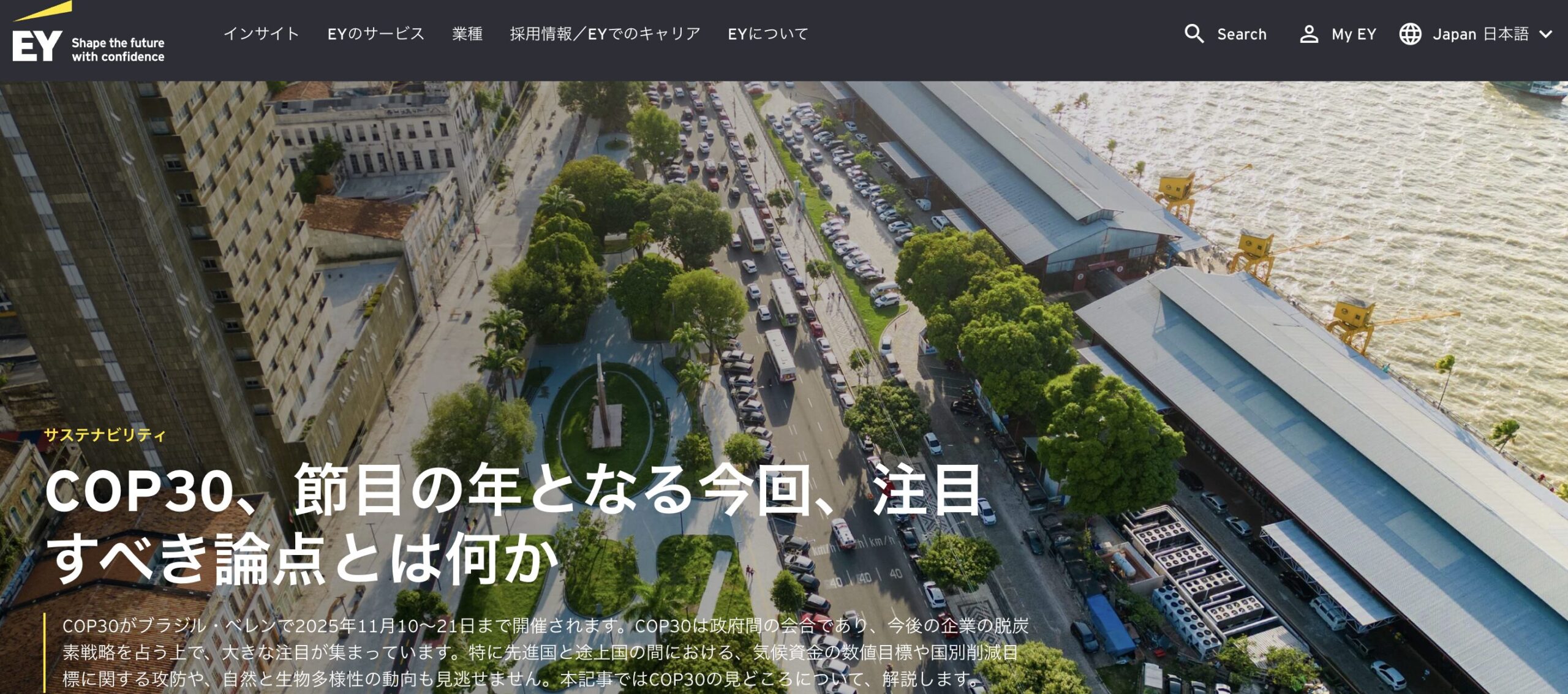 EY ホームページ